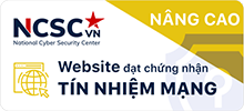 Hướng dẫn sử dụng trang web để đặt xe và kiểm tra mã đặt chỗ