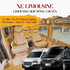 Thuê Limousine 9 Chỗ Sài Gòn Đi Vũng Tàu Theo Lượt